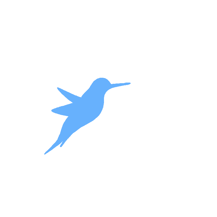 DevColibri Studio Logo